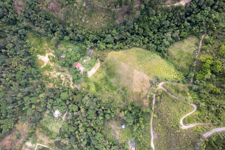 dji 0128