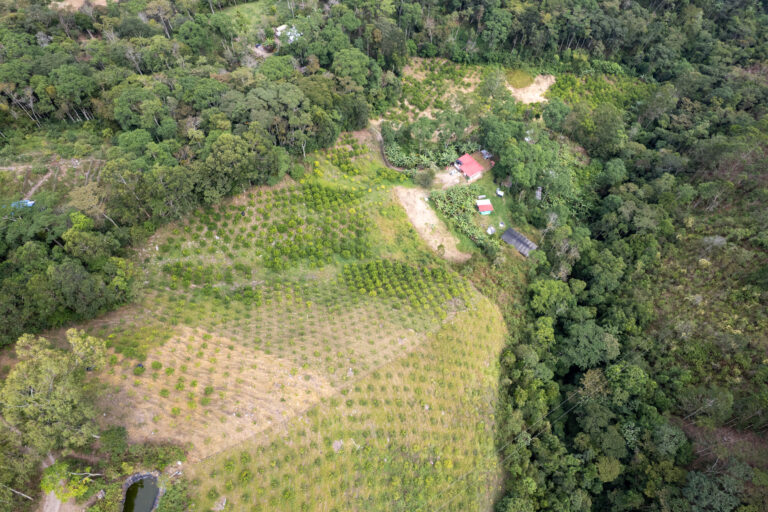 dji 0133