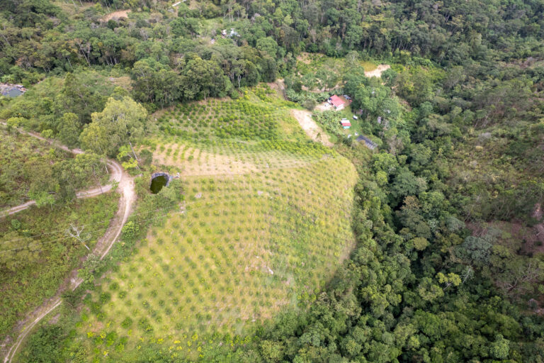 dji 0134